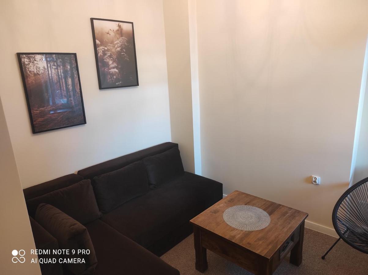 Bocianowka Z Sauna I Fotelem Masujacym W Cenie Ustron Luaran gambar